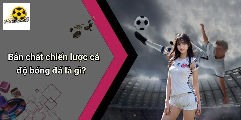 Chiến lược cá độ bóng đá