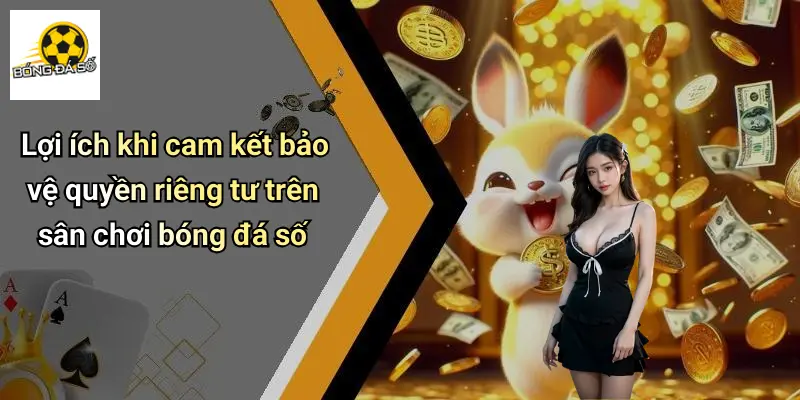 quyền riêng tư 3 Quyền Riêng Tư