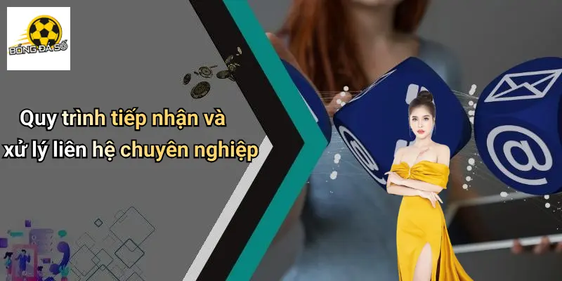 Liên hệ 2 Liên Hệ