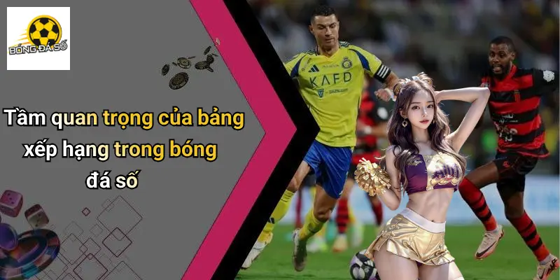 Bảng xếp hạng 1 Bảng xếp hạng