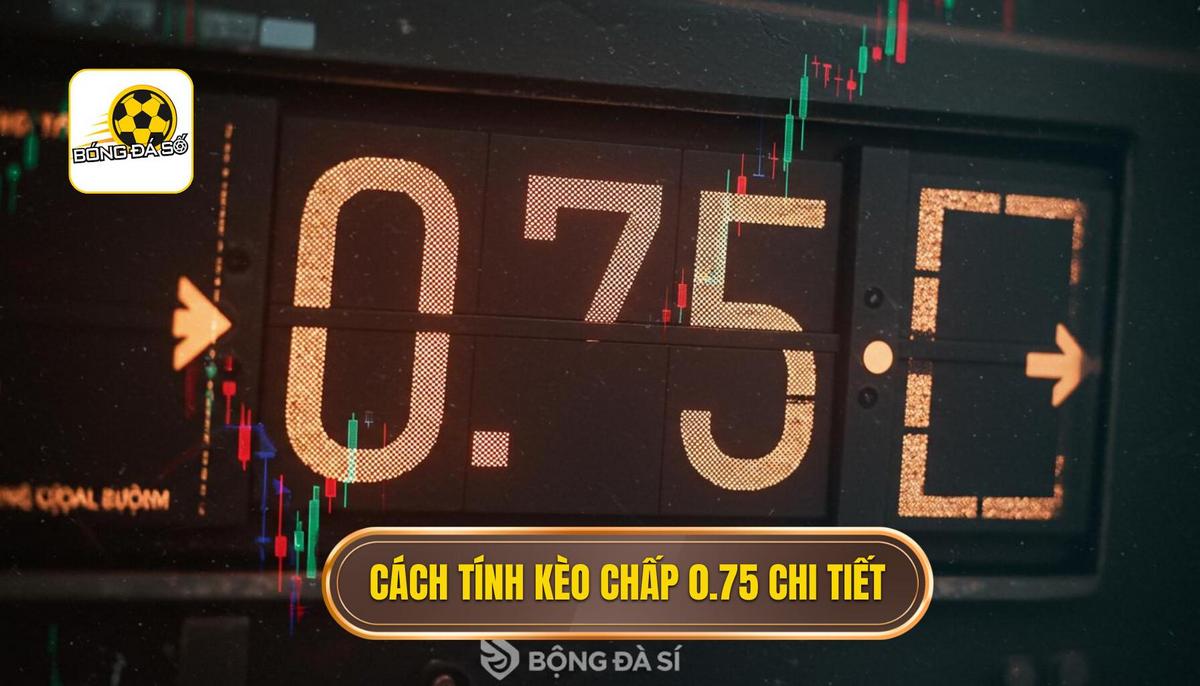 Giải Mã Chi Tiết Cách Tính Tiền Kèo Chấp 0.75