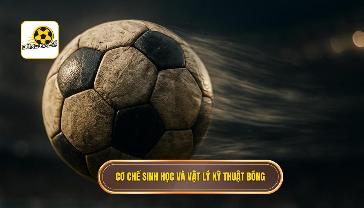 Cơ chế sinh học và vật lý của Kỹ thuật sút bóng bằng đầu gối trái