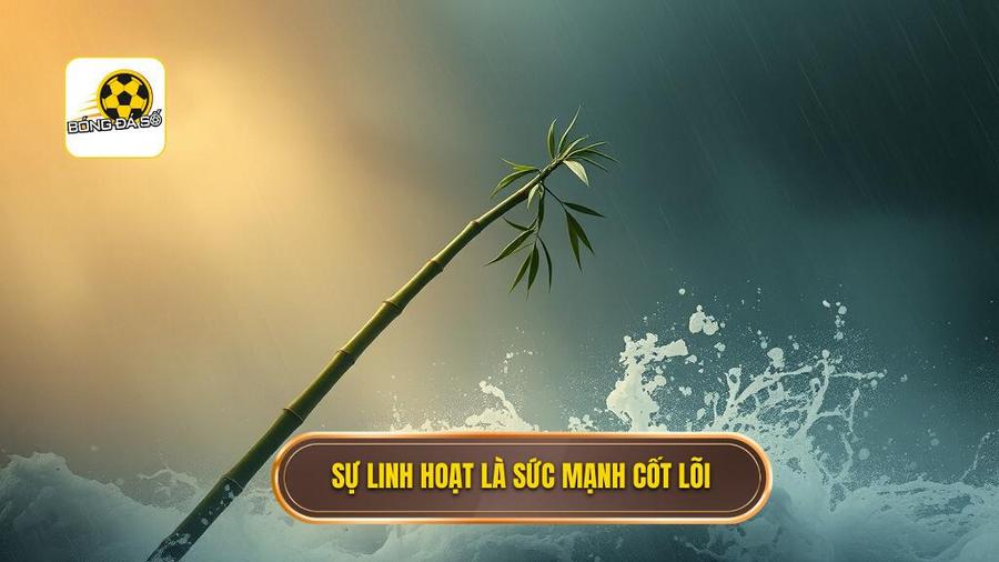 Chiến thuật Carlo Ancelotti: Đỉnh cao của sự tùy biến và quản trị nhân sự 1 Triết lý cốt lõi: Sự linh hoạt là sức mạnh tối thượng