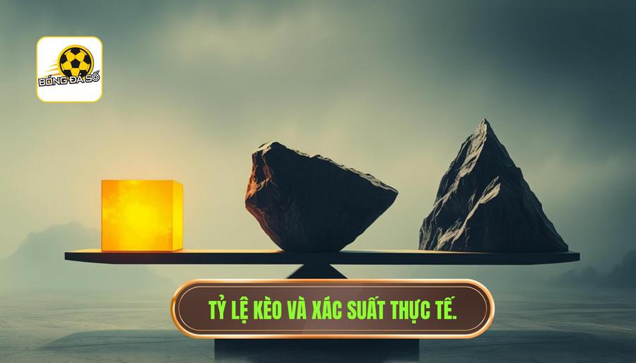 Tỷ lệ kèo không phản ánh hoàn toàn xác suất thực tế