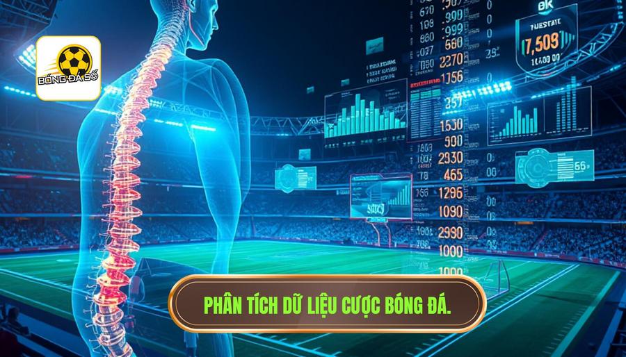 Phân tích dữ liệu - Xương sống của kinh nghiệm cược bóng đá thực chiến