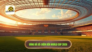 World Cup 2026 tổ chức ở đâu