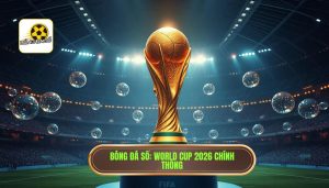 Có bao nhiêu đội tham dự World Cup 2026